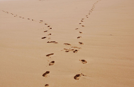 Thumbnail image for footprints in sand.jpg